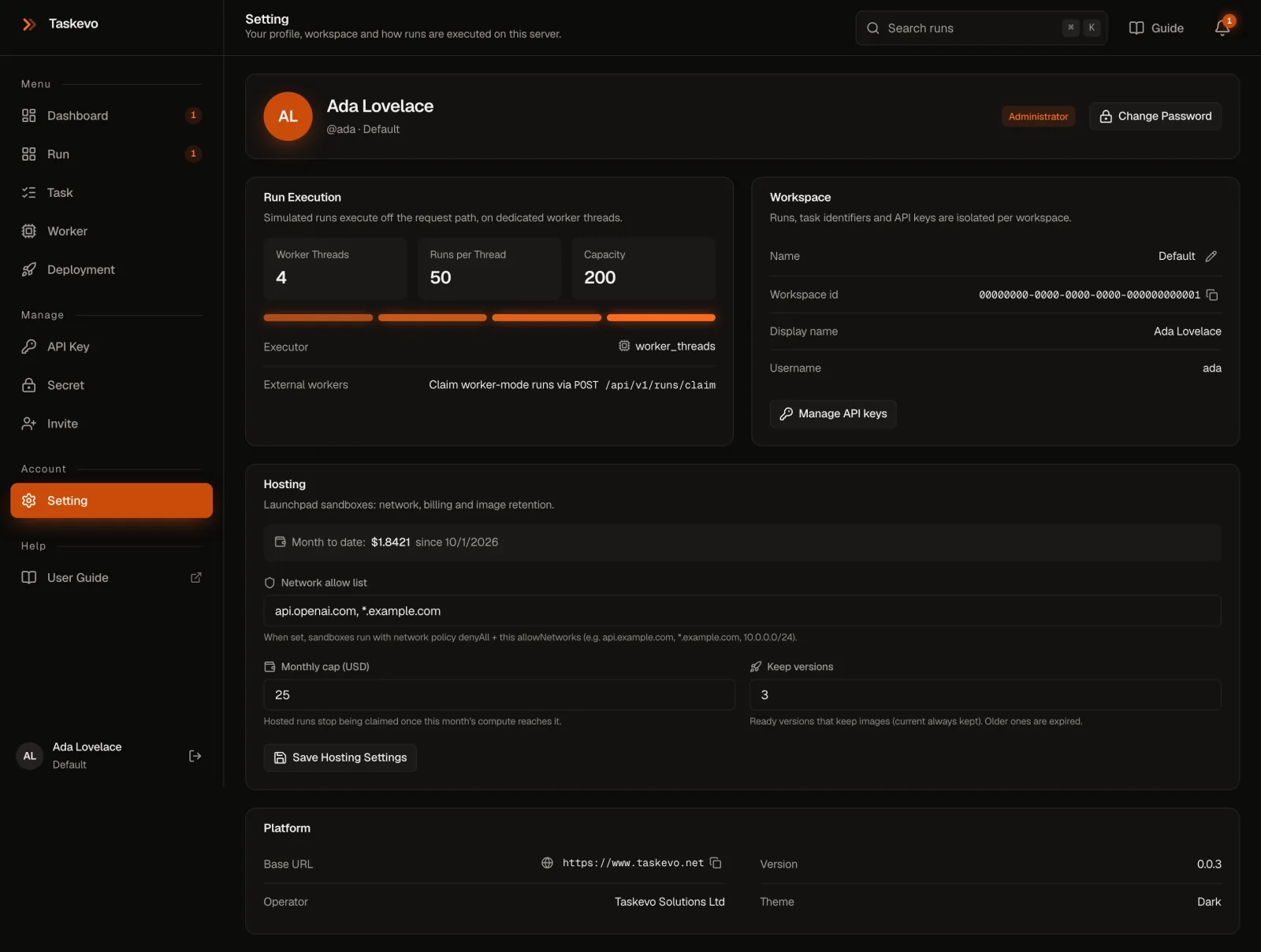 The Setting page: profile, run execution, workspace, hosting and platform
